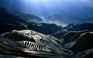 �V�����������������zӰ����ȫ����