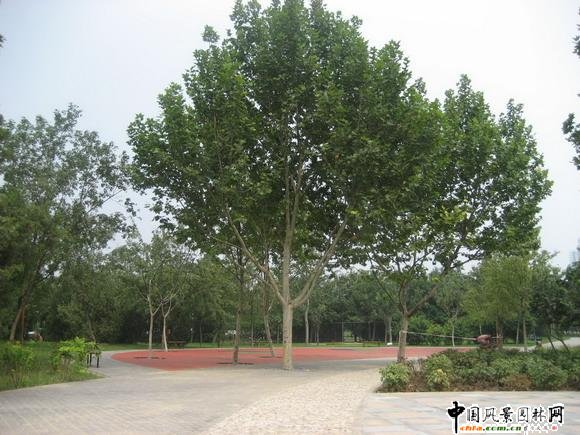 2008������(y��u)�|(zh��)���̣��S�_(t��i)�@�^(q��)���@���w���칤��