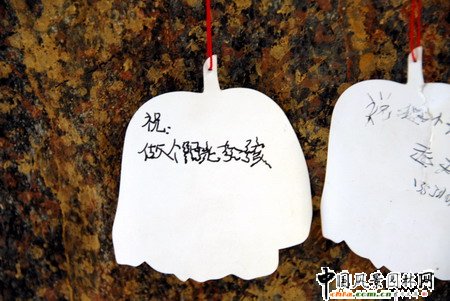 ʯ���fֲ��@�Ꭷ���҃�ֲ�ﾰ�^�p��(�M�D)