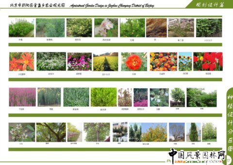種植設計分區圖