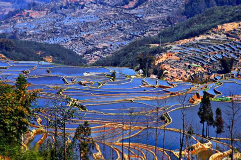 ���ϼt�ӣ�ȥ����������^������