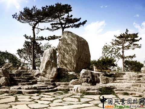 �W��ƥ��ɭ�ֹ��@ �쾳