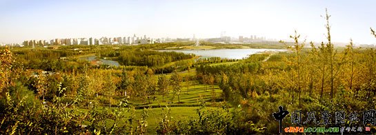 �W��ƥ��ɭ�ֹ��@����-��ɽ