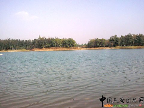 �W��ƥ��ɭ�ֹ��@����-�W��