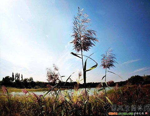 �W��ƥ��ɭ�ֹ��@��(sh��)��-���񹫈@����