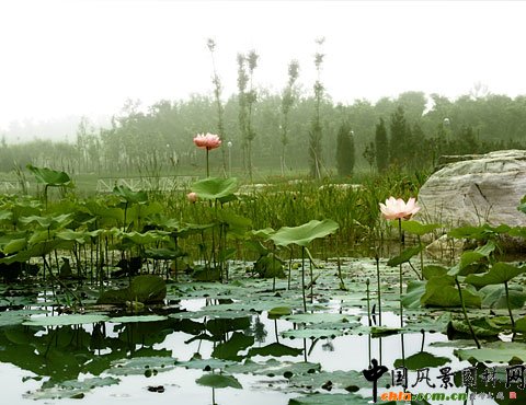 �W��ƥ��ɭ�ֹ��@��(sh��)��-�������