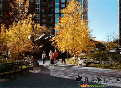 2009ASLA�C���OӋs�u�����I�鹫�@