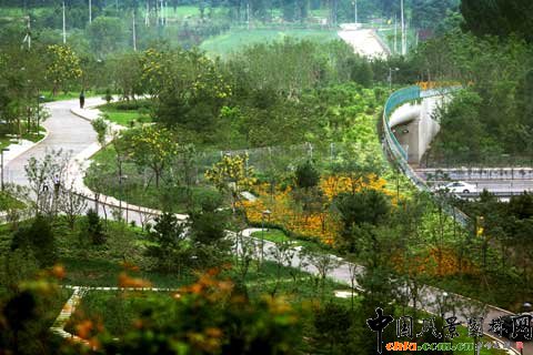 �W��ƥ��ɭ�ֹ��@���B�ȵ�