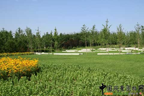 �W��ƥ��ɭ�ֹ��@���gС����