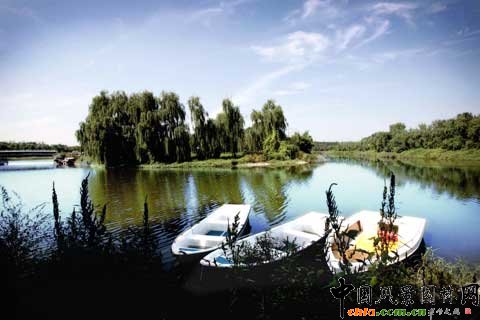 �W��ƥ��ɭ�ֹ��@ ͣ��