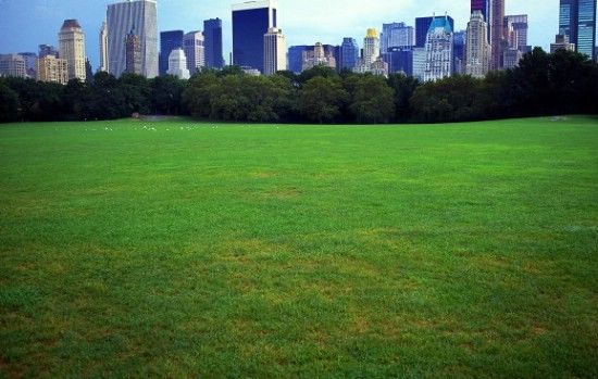 �c(di��n)�����´��ڞg�[�DƬ