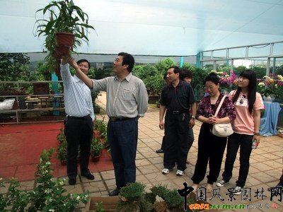 �������S������󻨻ܮa�I����(�D)