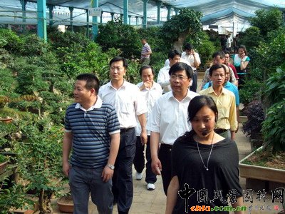 �������S������󻨻ܮa�I����(�D)