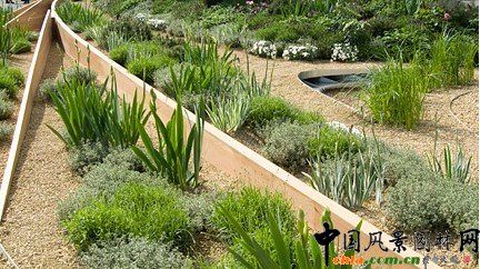 2009���Р�����չ��ф��⪄������ˮ�@(�M�D)