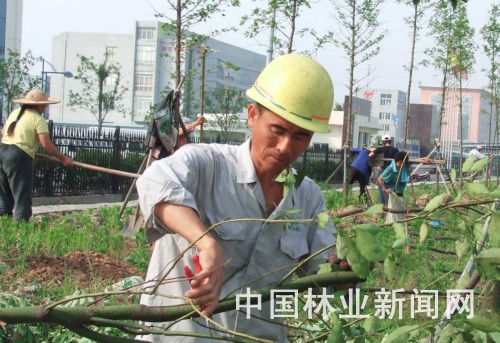 ��h170�fԪ�����Gɫ������ 