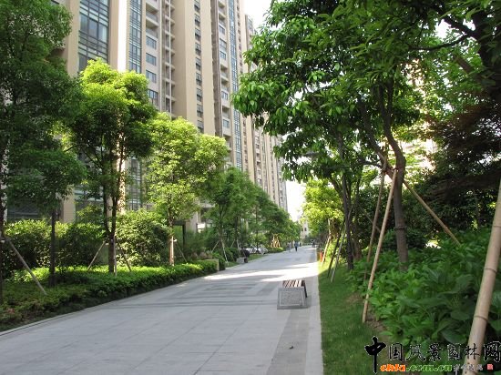 �����L���X�����o���@���ھG������