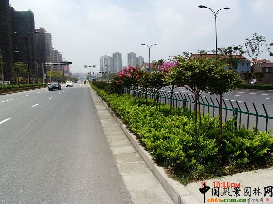 ���ݾ���·�G������