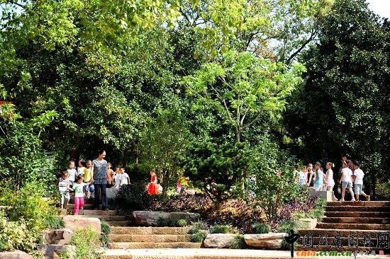 �����а�ɽ���@�ĔU��һ�ڹ���