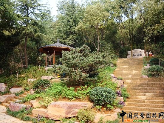 �����а�ɽ���@�ĔU��һ�ڹ���