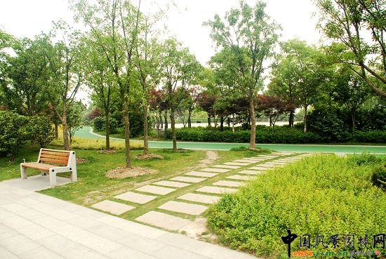 �������X���³�һ̖(h��o)�����(y��ng)�_(t��i)���^����