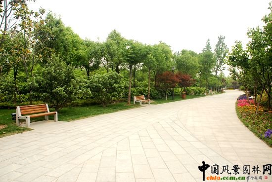 �������X���³�һ̖(h��o)�����(y��ng)�_(t��i)���^����