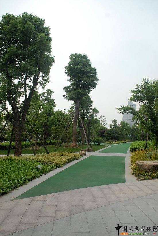 �������X���³�һ̖(h��o)�����(y��ng)�_(t��i)���^����