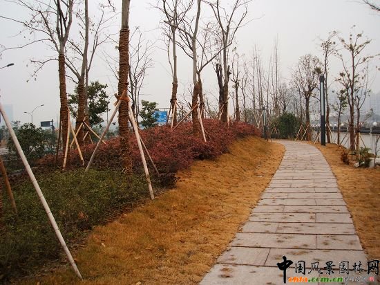 �������X��·�G�����ι���