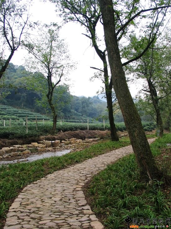 ��Ϫ��÷�X���ι���