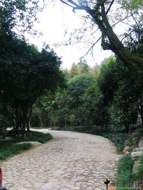 ��Ϫ��÷�X���ι���