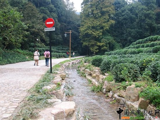 ��Ϫ��÷�X���ι���