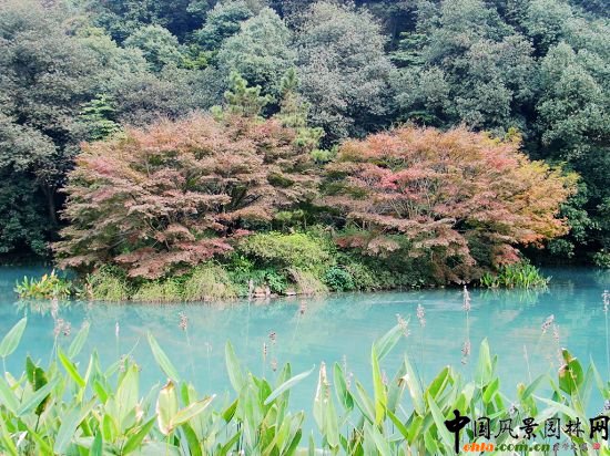 ���ݾ�Ϫ��÷�X�C������1��(bi��o)���^����