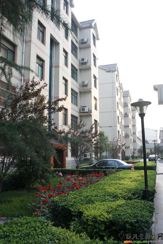 �䰲��ؔ��סլС�^