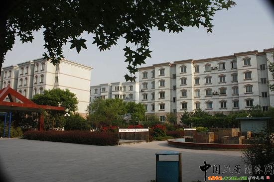 �䰲�н�ɫ���@