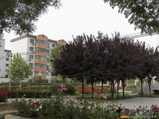 �䰲��������סլС�^