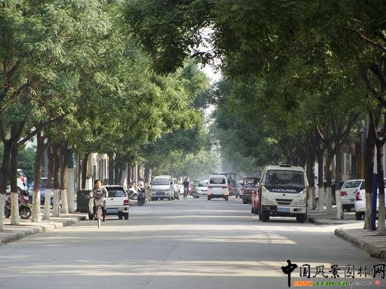 �䰲�е�·�G����r