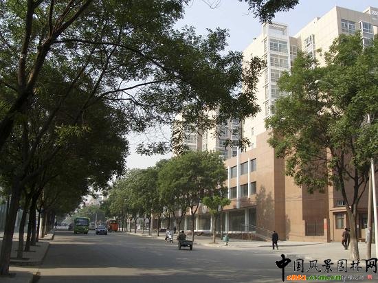 ����(qi��ng)���϶����a��