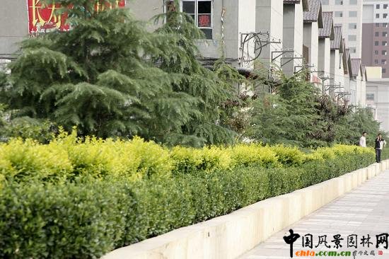 �䰲�й����־G����r