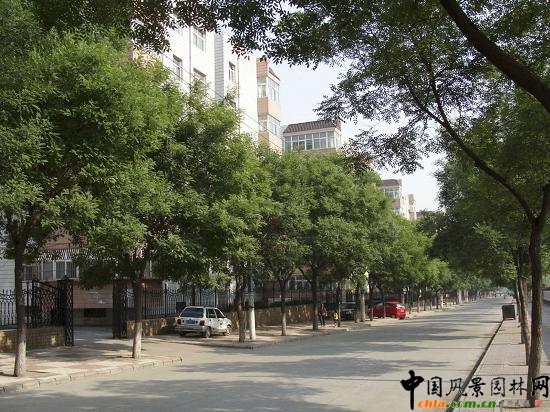 ���|�����a��·