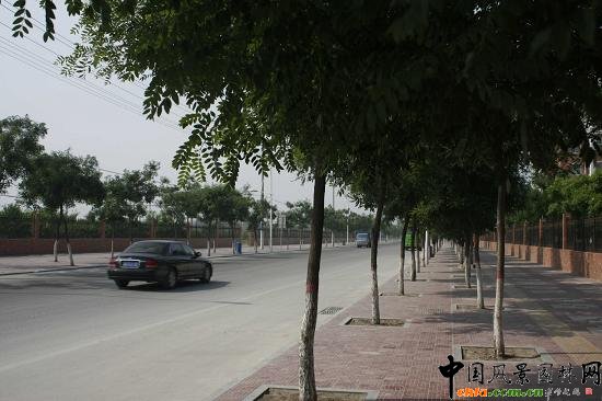 ���Ͻ��е���