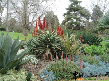 �����҇����оG����N�ąf��ƽ�_