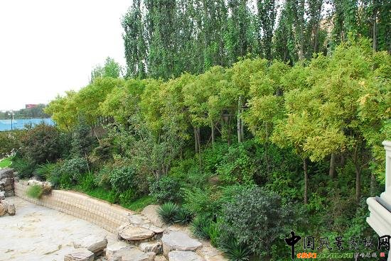 �L��Է�e���G������G��