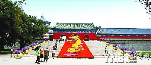 �������쉯��󻨉���� 16�f֦�r���ܡ��������D��