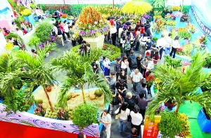 �������_Ļ