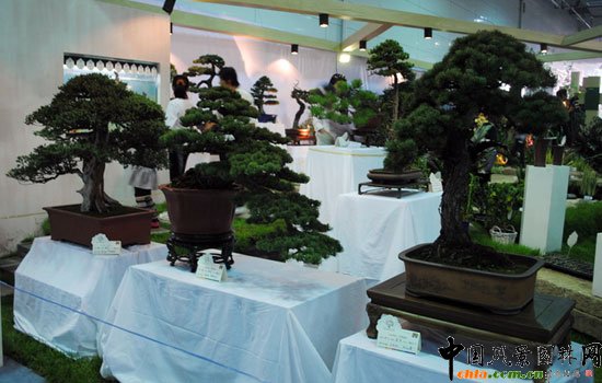 ����չλ--���ߌ��Ї�(����)������