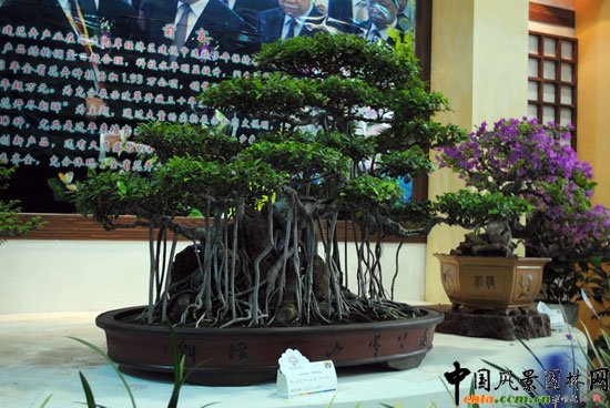 �҃�չ�^-����չλ