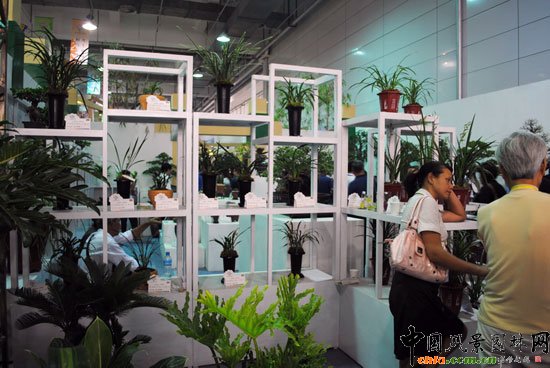 �҃�չ�^-����չλ