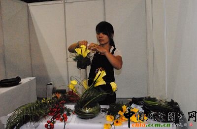 ��ˇ���F������