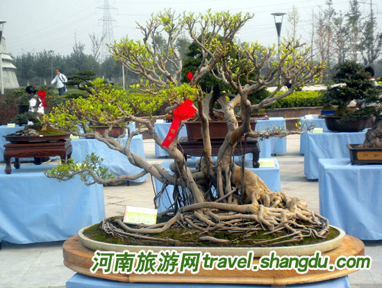 ����ʡ�ڰˌ��辰ˇ�gչ���滨������ϡ��N����