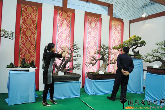 ���ߌû�����(����)�҃�չ--���չ�^