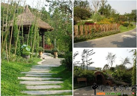 2004�����È@��������